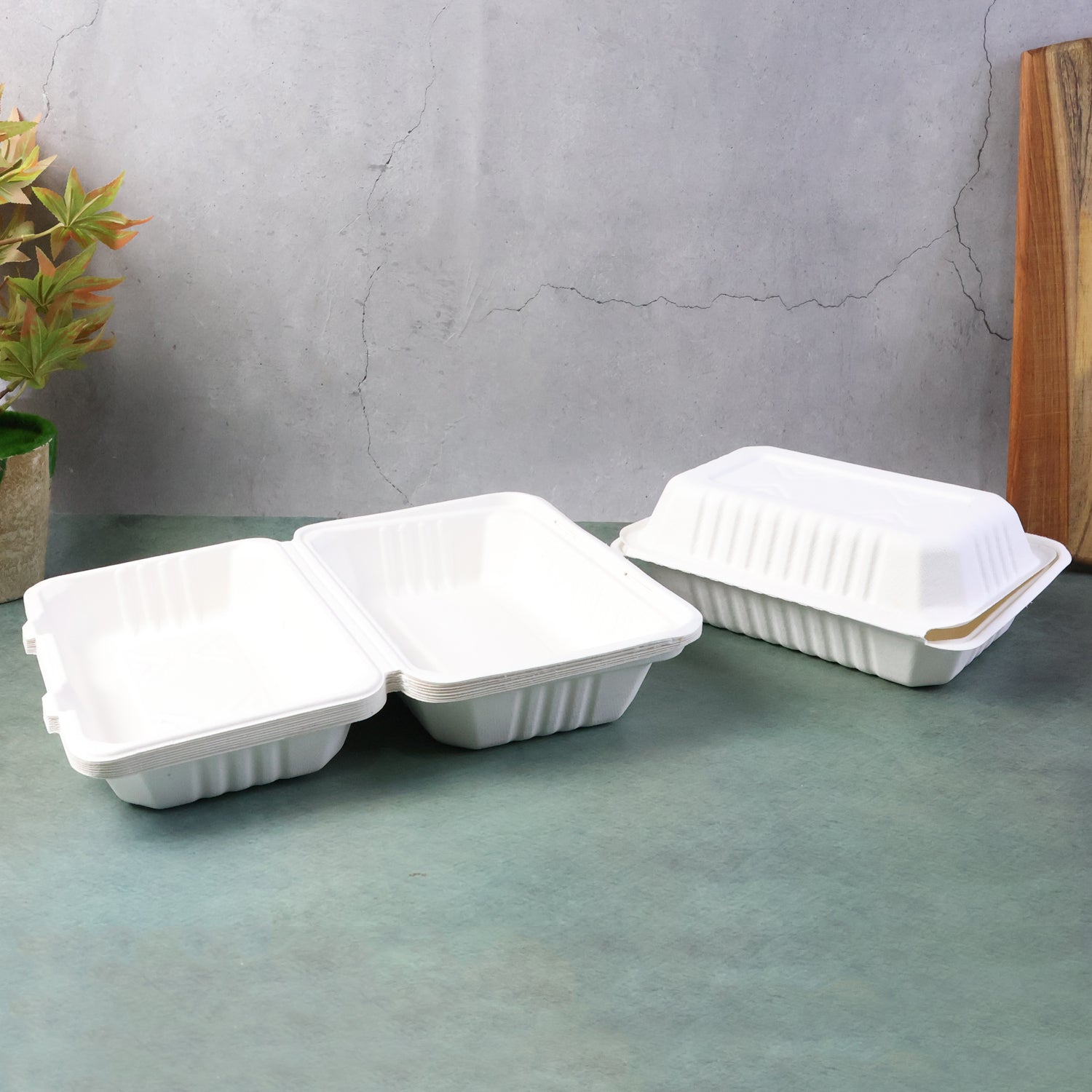 Food Storage Box