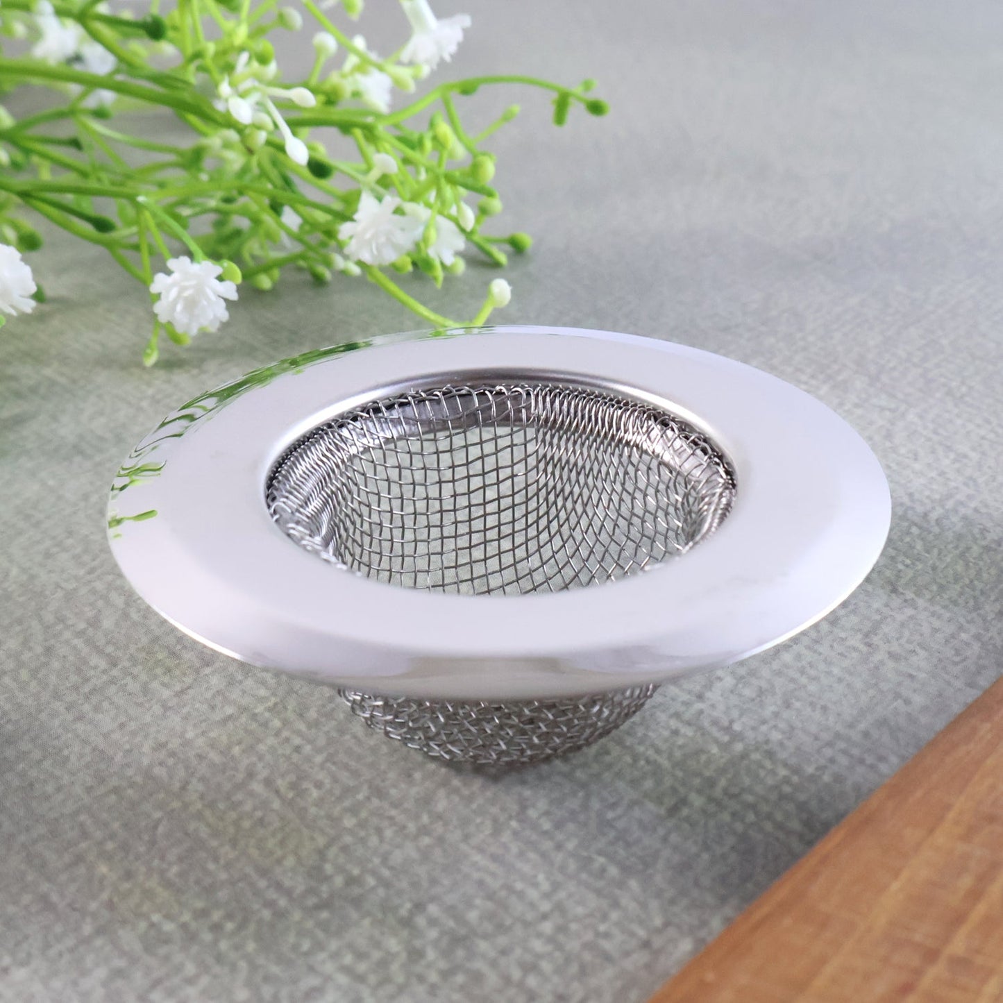 Drain Protector