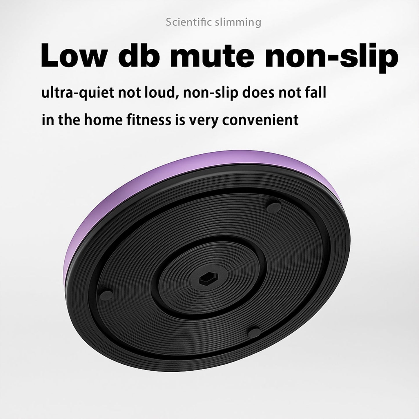 Fitness Disc