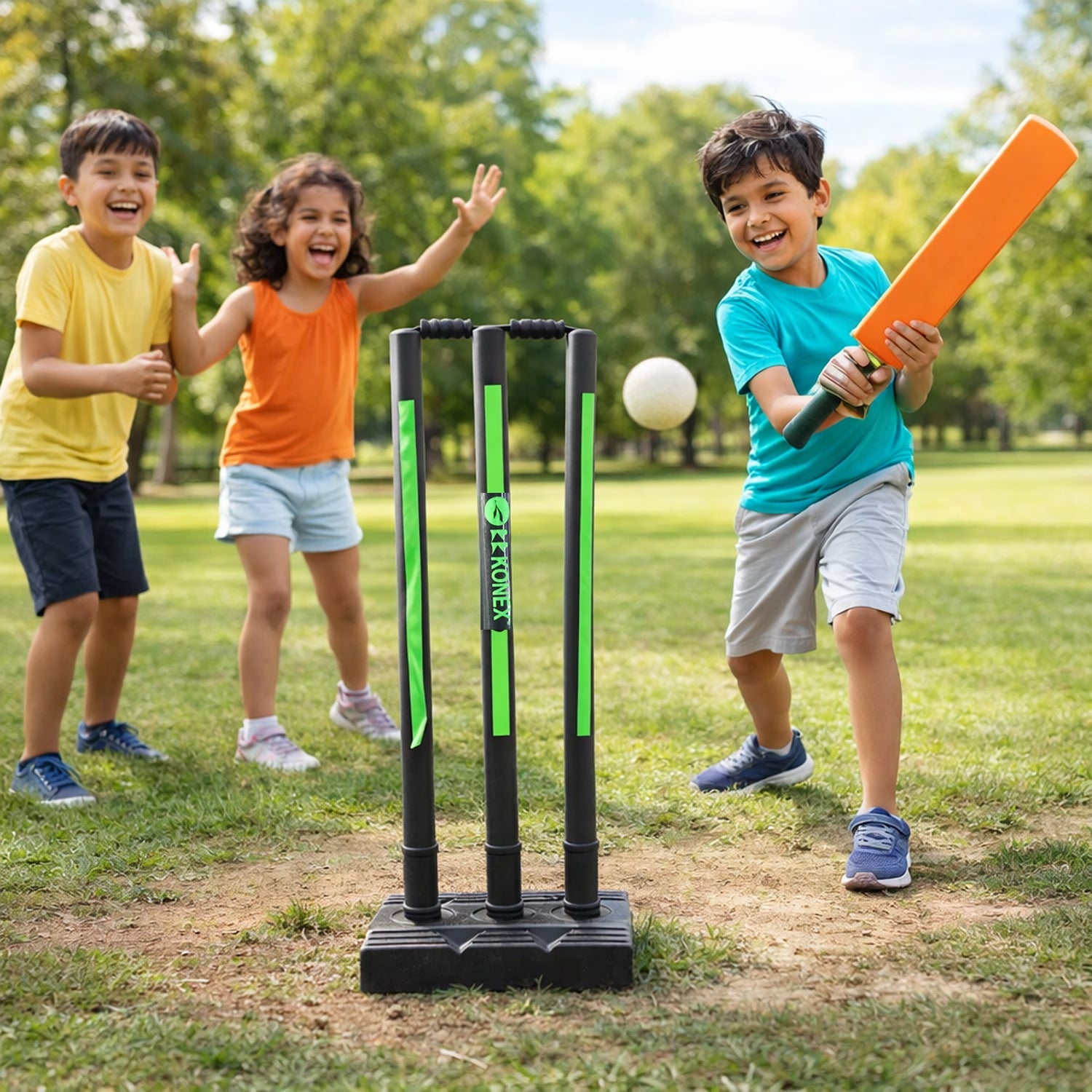 Professional cricket stump set