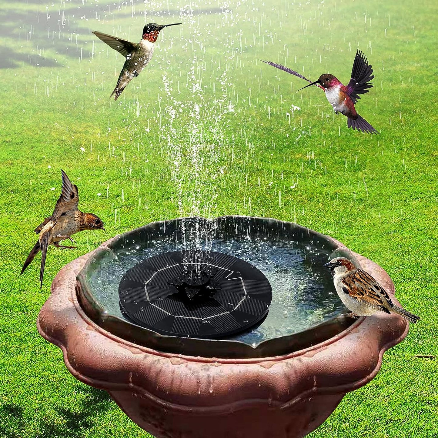 Garden Aura Solar Spray Kit