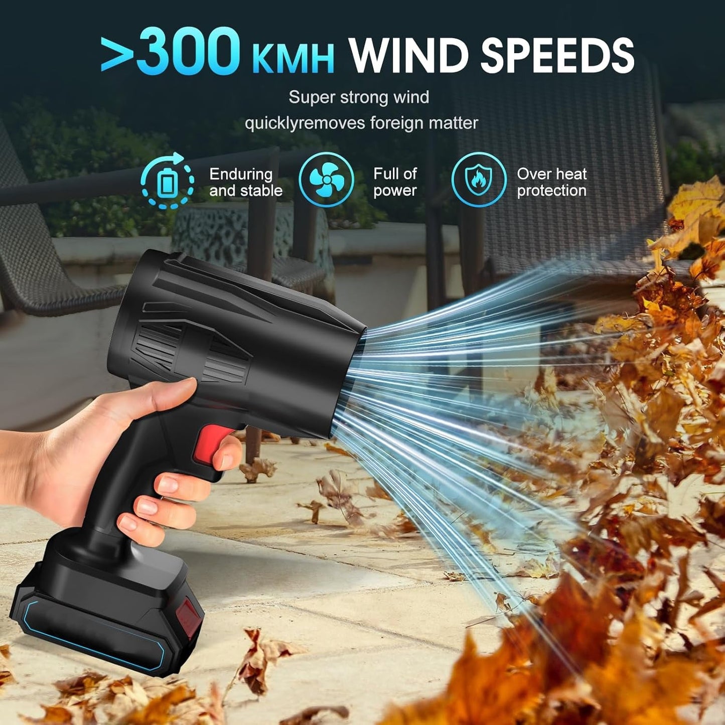 Dust Removal Blower